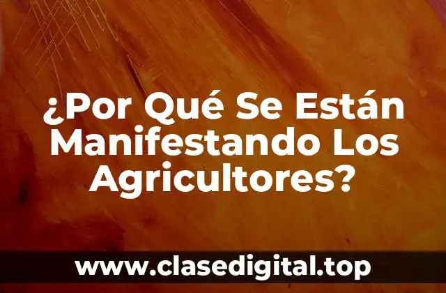 ¿Por Qué Se Están Manifestando Los Agricultores?