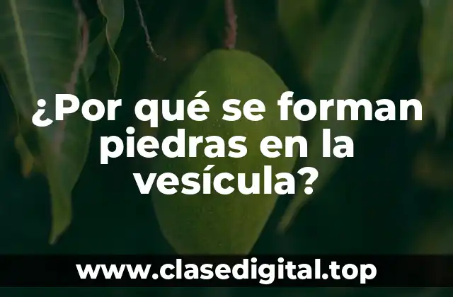 ¿Cuáles son las causas de la formación de piedras en la vesícula?