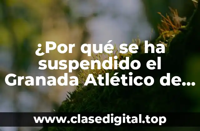 ¿Por qué se ha suspendido el Granada Atlético de Bilbao? Análisis detallado