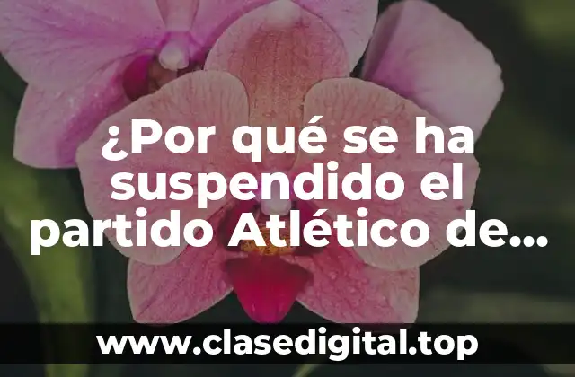 ¿Por qué se ha suspendido el partido Atlético de Madrid vs Sevilla?