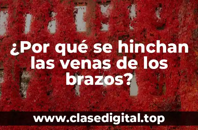 ¿Por qué se hinchan las venas de los brazos?