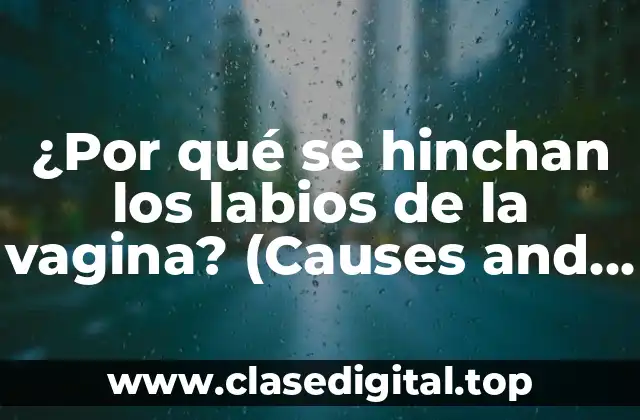¿Por qué se hinchan los labios de la vagina? (Causes and Reasons)