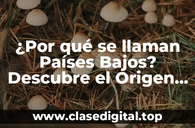 ¿Por qué se llaman Países Bajos? Descubre el Origen del Nombre