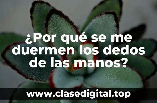 Causas comunes de la pérdida de sensibilidad en los dedos de las manos