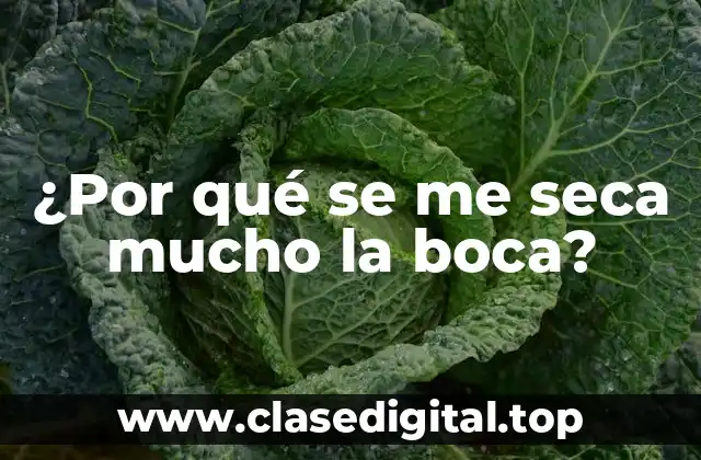 Causas de la sequedad bucal