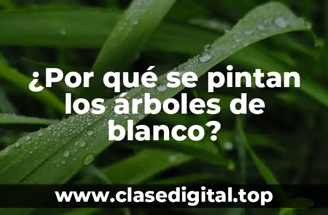 ¿Por qué se pintan los árboles de blanco?