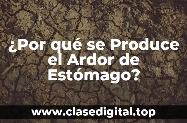 Causas del Ardor de Estómago