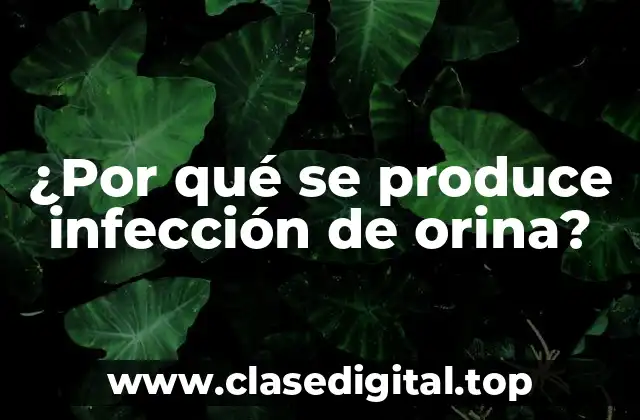 ¿Por qué se produce infección de orina?