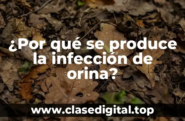 ¿Por qué se produce la infección de orina?