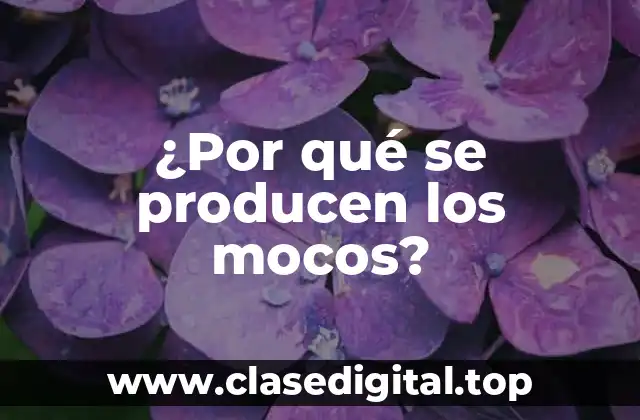 Funciones del moco en el cuerpo