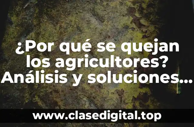 ¿Por qué se quejan los agricultores? Análisis y soluciones a los problemas del sector agrícola