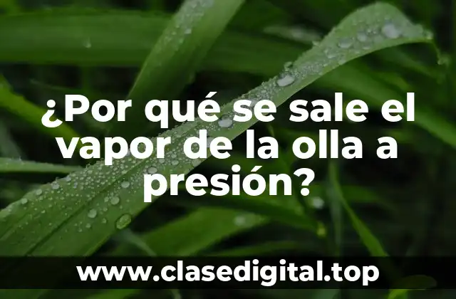 ¿Por qué se sale el vapor de la olla a presión?