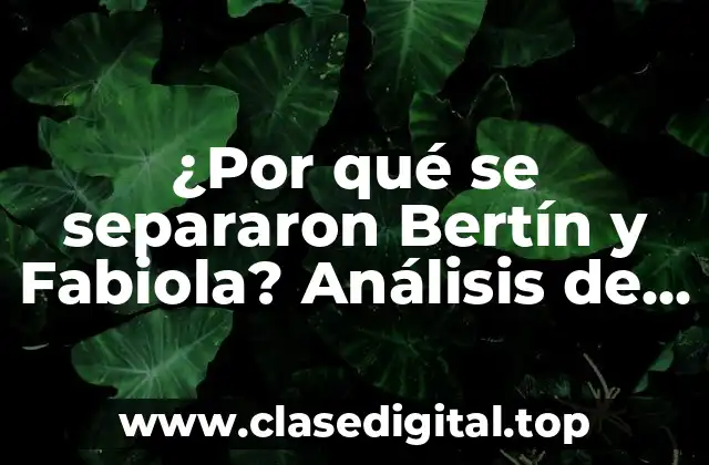 ¿Por qué se separaron Bertín y Fabiola? Análisis de la ruptura más sonada de la televisión mexicana