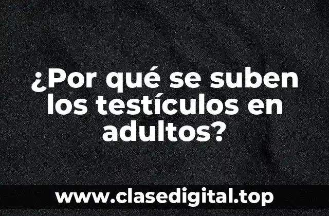 ¿Por qué se suben los testículos en adultos?