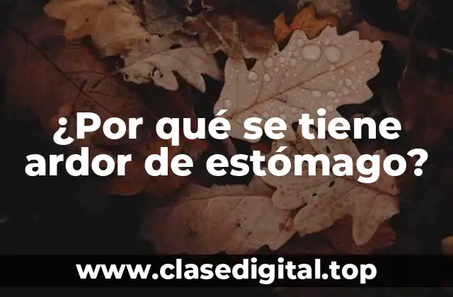 ¿Por qué se tiene ardor de estómago?