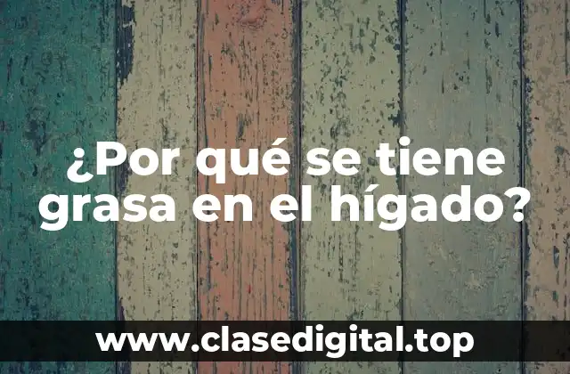 ¿Por qué se tiene grasa en el hígado?