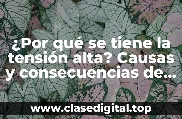 ¿Por qué se tiene la tensión alta? Causas y consecuencias de la hipertensión