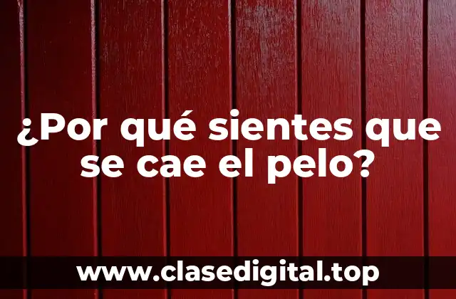 ¿Por qué sientes que se cae el pelo?
