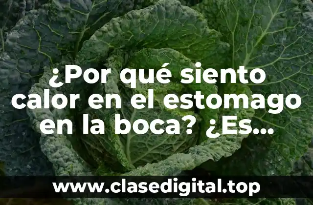 ¿Por qué siento calor en el estomago en la boca? ¿Es normal?