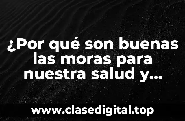 ¿Por qué son buenas las moras para nuestra salud y bienestar?