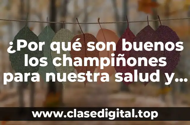 ¿Por qué son buenos los champiñones para nuestra salud y bienestar?