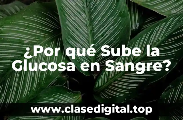 ¿Por qué Sube la Glucosa en Sangre?