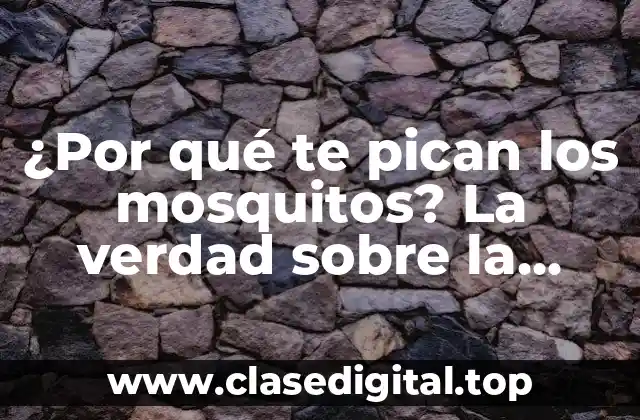 ¿Por qué te pican los mosquitos? La verdad sobre la atracción de los mosquitos