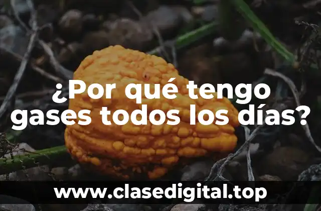 ¿Por qué tengo gases todos los días?
