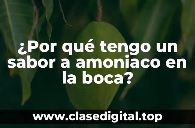 Causas del sabor a amoniaco en la boca