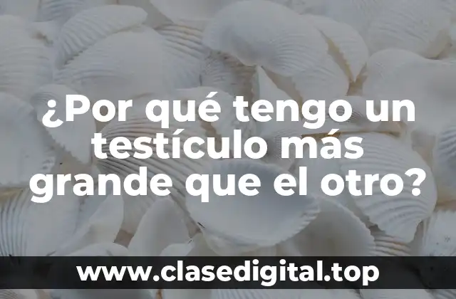 ¿Por qué tengo un testículo más grande que el otro?