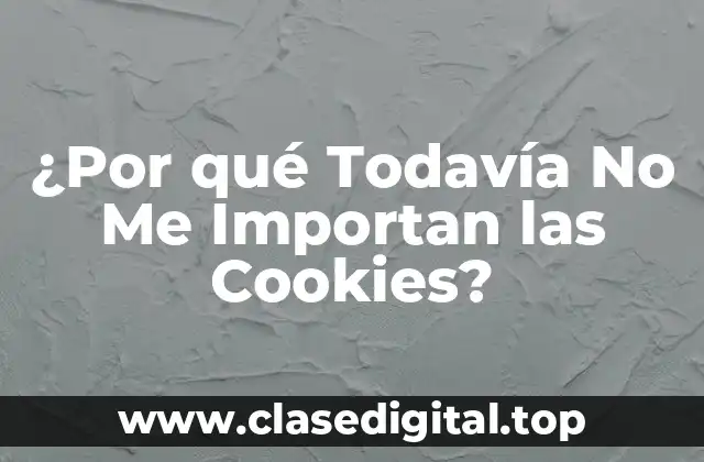 ¿Qué son las Cookies y Cómo Funcionan?
