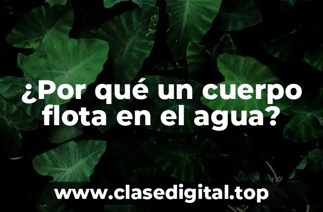 ¿Por qué un cuerpo flota en el agua?