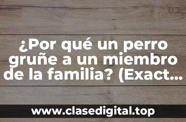 ¿Por qué un perro gruñe a un miembro de la familia? (Exact Match Keyword)