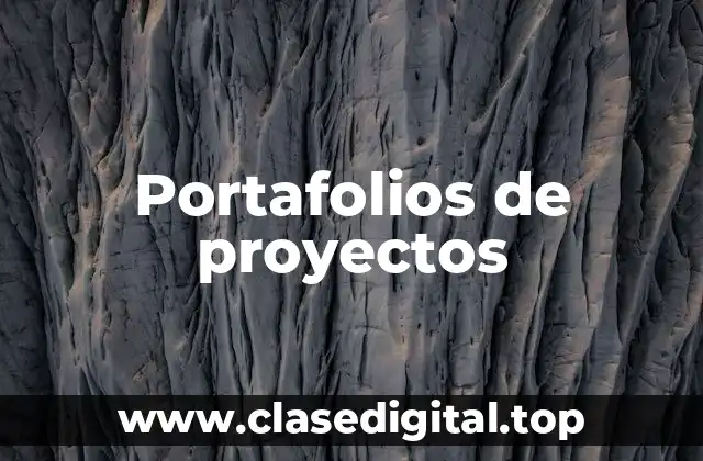 Portafolios de proyectos