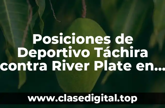 Posiciones de Deportivo Táchira contra River Plate en la Copa Libertadores