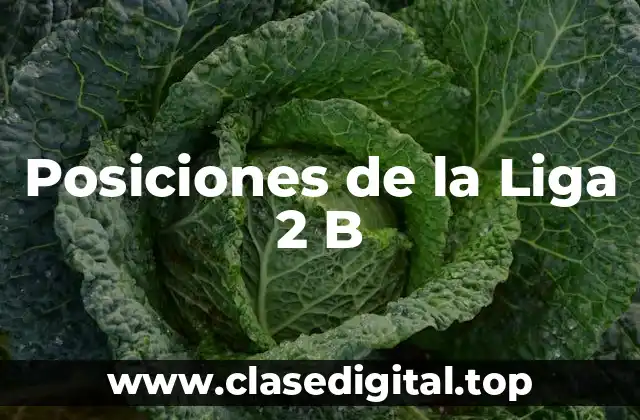 Posiciones de la Liga 2 B