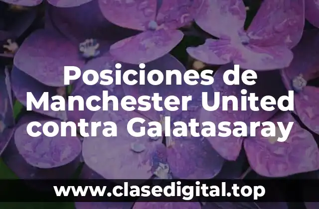 Posiciones de Manchester United contra Galatasaray