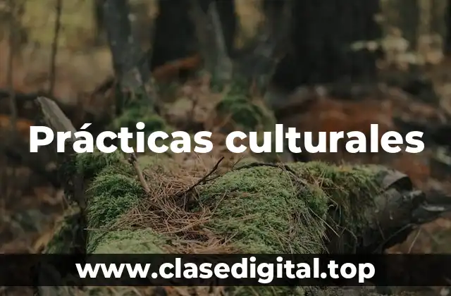 Prácticas culturales