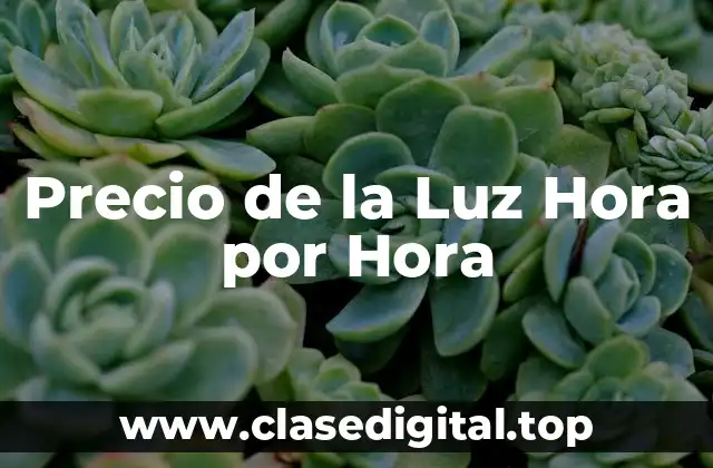 Precio de la Luz Hora por Hora