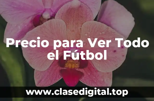 Canales de Televisión Tradicionales: ¿Cuánto Cuesta Ver el Fútbol?