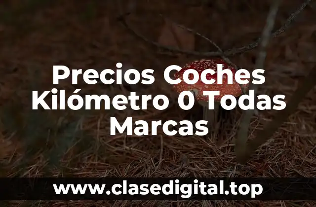 Precios Coches Kilómetro 0 Todas Marcas