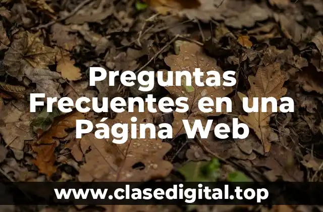 Preguntas Frecuentes en una Página Web
