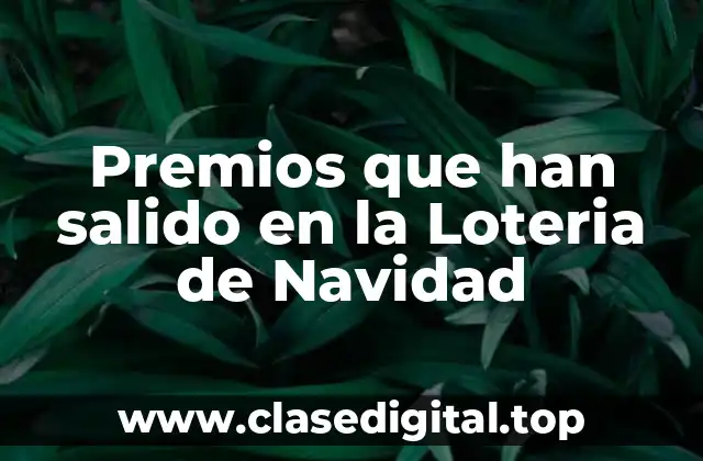 Premios que han salido en la Loteria de Navidad