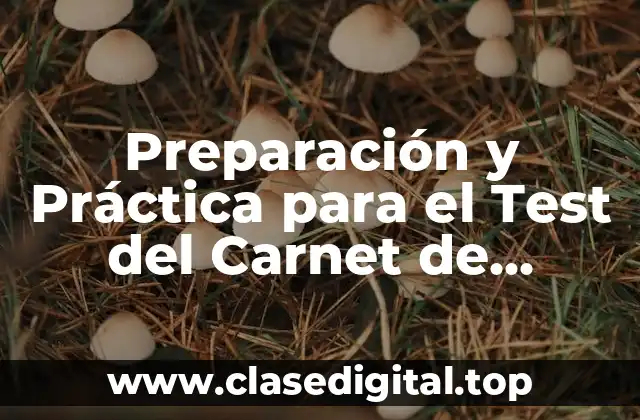 Preparación y Práctica para el Test del Carnet de Conducir