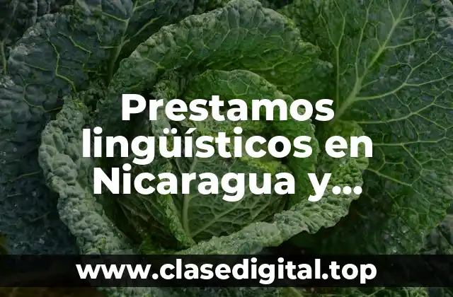 Ejemplos de prestamos lingüísticos en Nicaragua