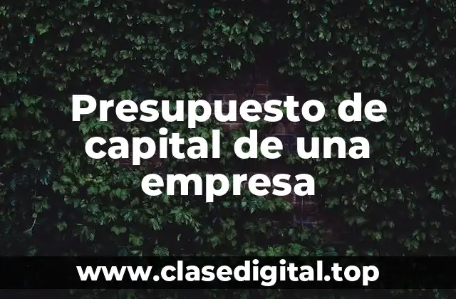 Ejemplos de presupuesto de capital de una empresa