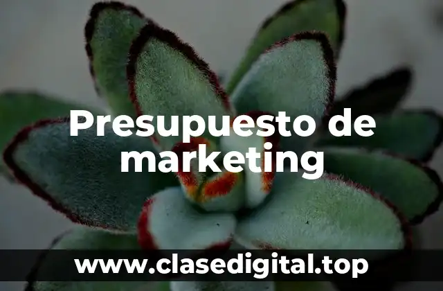 Presupuesto de marketing