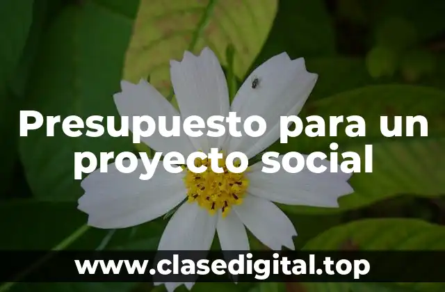 Presupuesto para un proyecto social