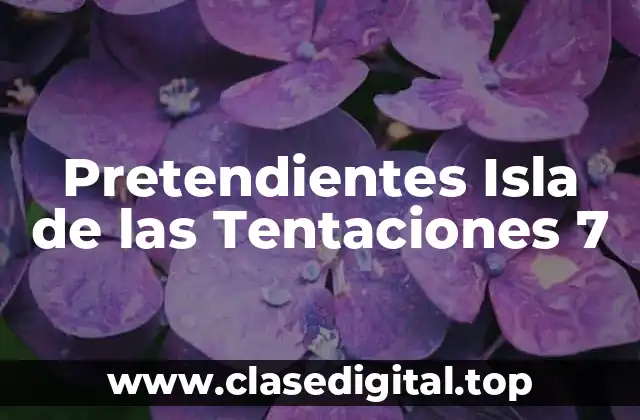 Pretendientes Isla de las Tentaciones 7