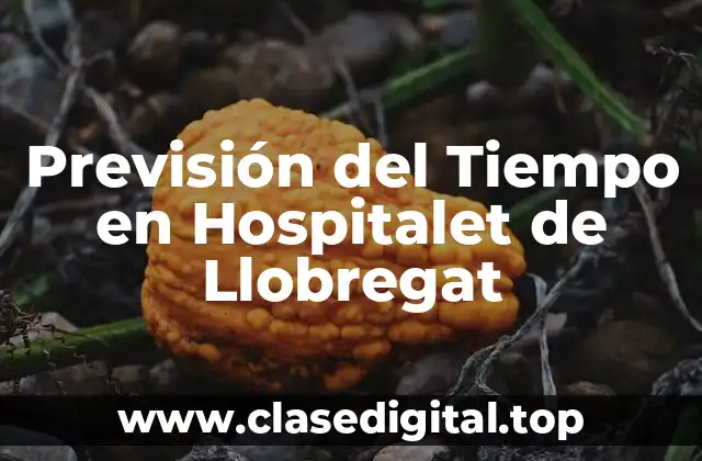 Previsión del Tiempo en Hospitalet de Llobregat